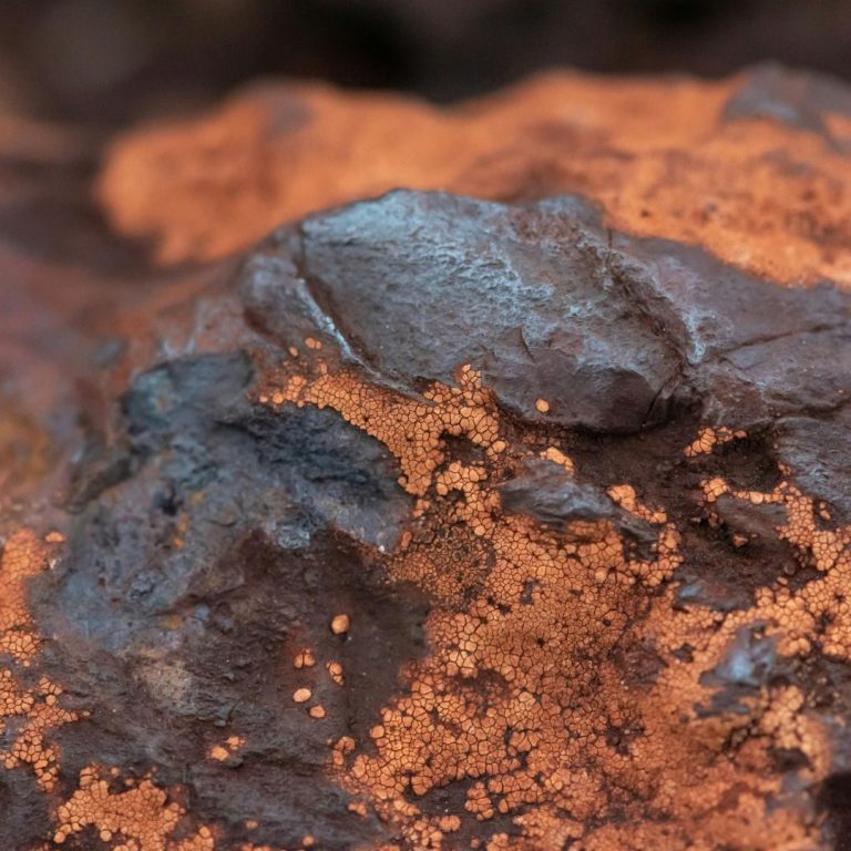Symbolisches Foto eines Eisenmeteoriten-Rohsteins , stellvertretend für Meteoriten, Edelsteine und Mineralien im Edelstein-Lexikon